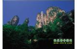 網(wǎng)絡(luò)熱門(mén)純玩游：張家界、天子山、袁家界、楊家界 自助三日游