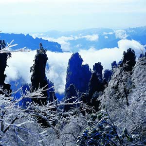 LD線：張家界、天子山、楊家界、猛洞河漂流純玩四日游