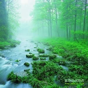 【純玩散拼尊享系列3】張家界、天子山、袁家界、黃龍洞、鳳凰三晚四日游